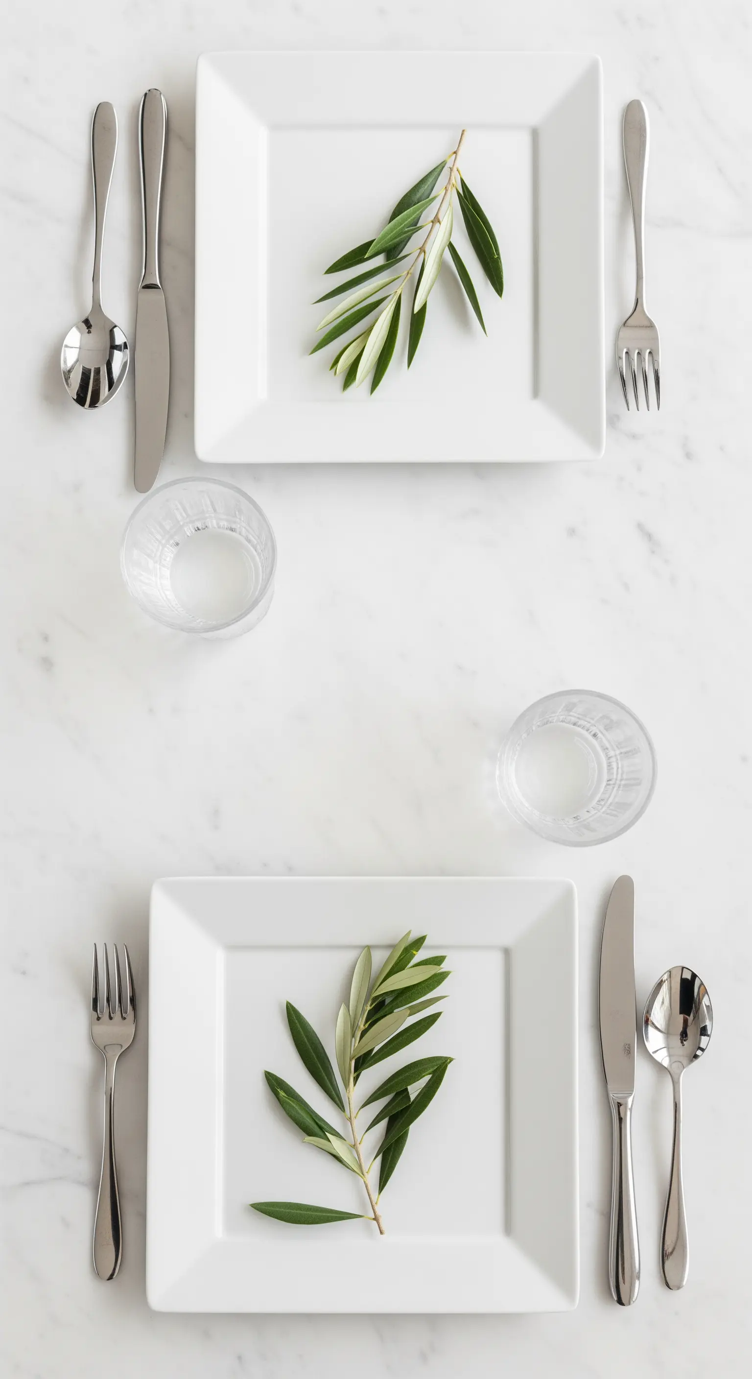 Weißes quadratisches Geschirr mit einzelnem Olivenzweig