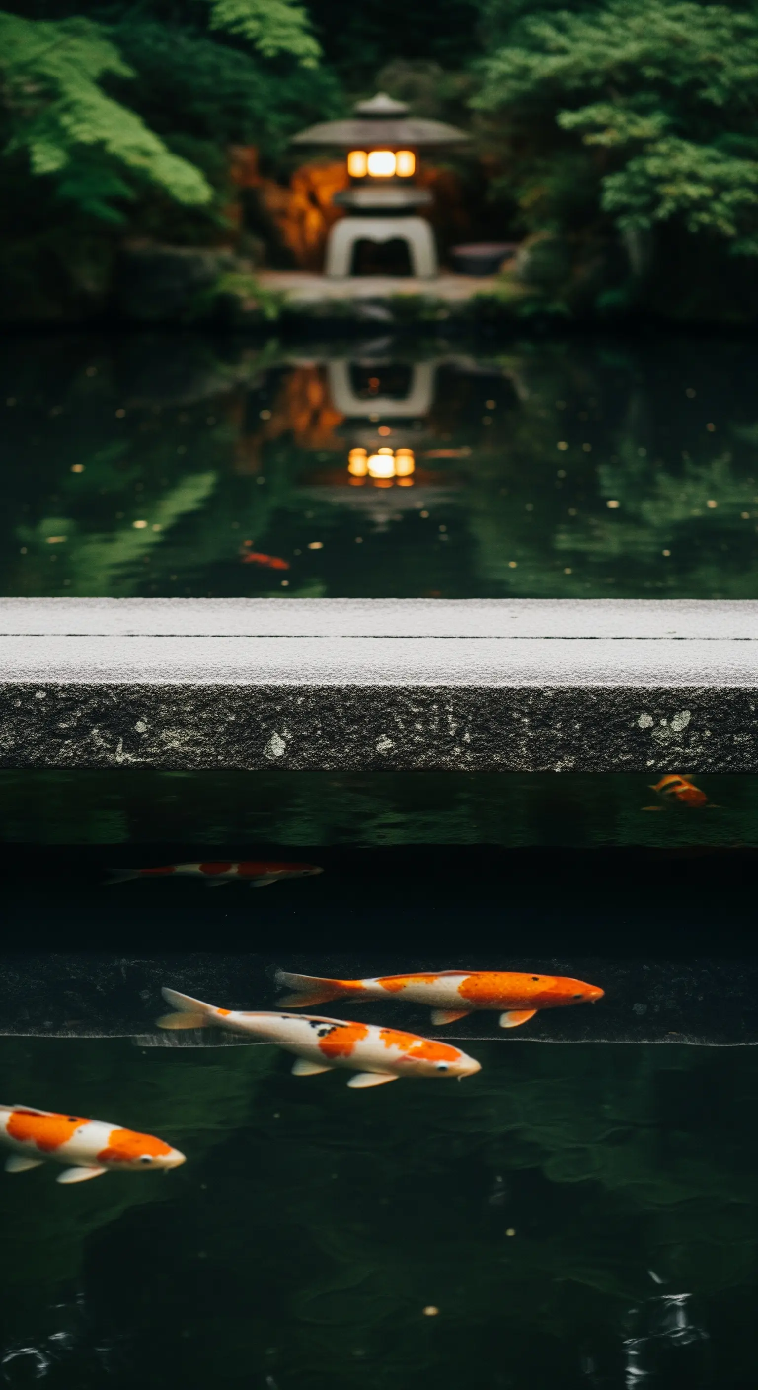 Dunkler reflektierender Teich mit Steg