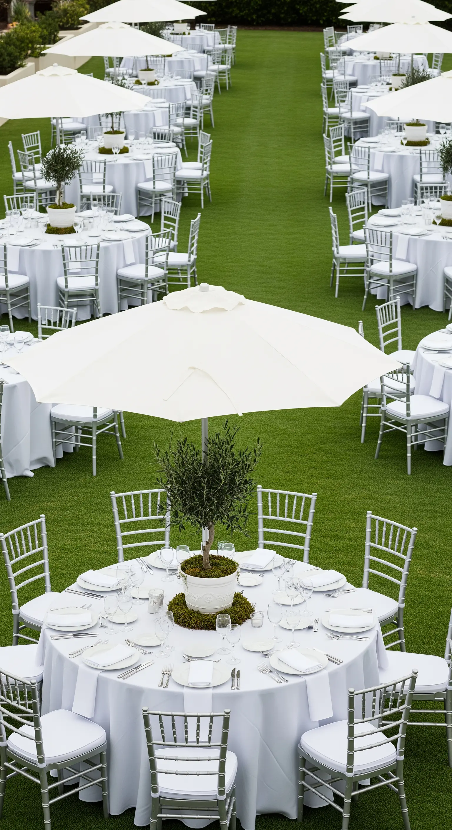 Viele runde Tische auf Rasen mit weißen Schirmen und Olivenbäumchen