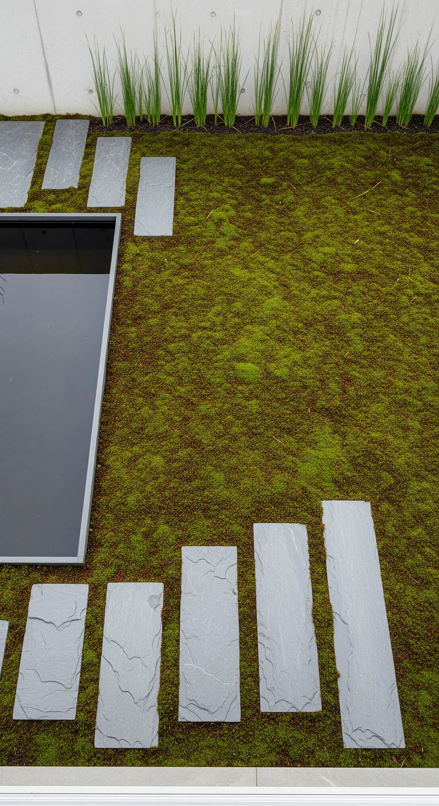 Rechteckige Trittsteine in grünem Moosteppich