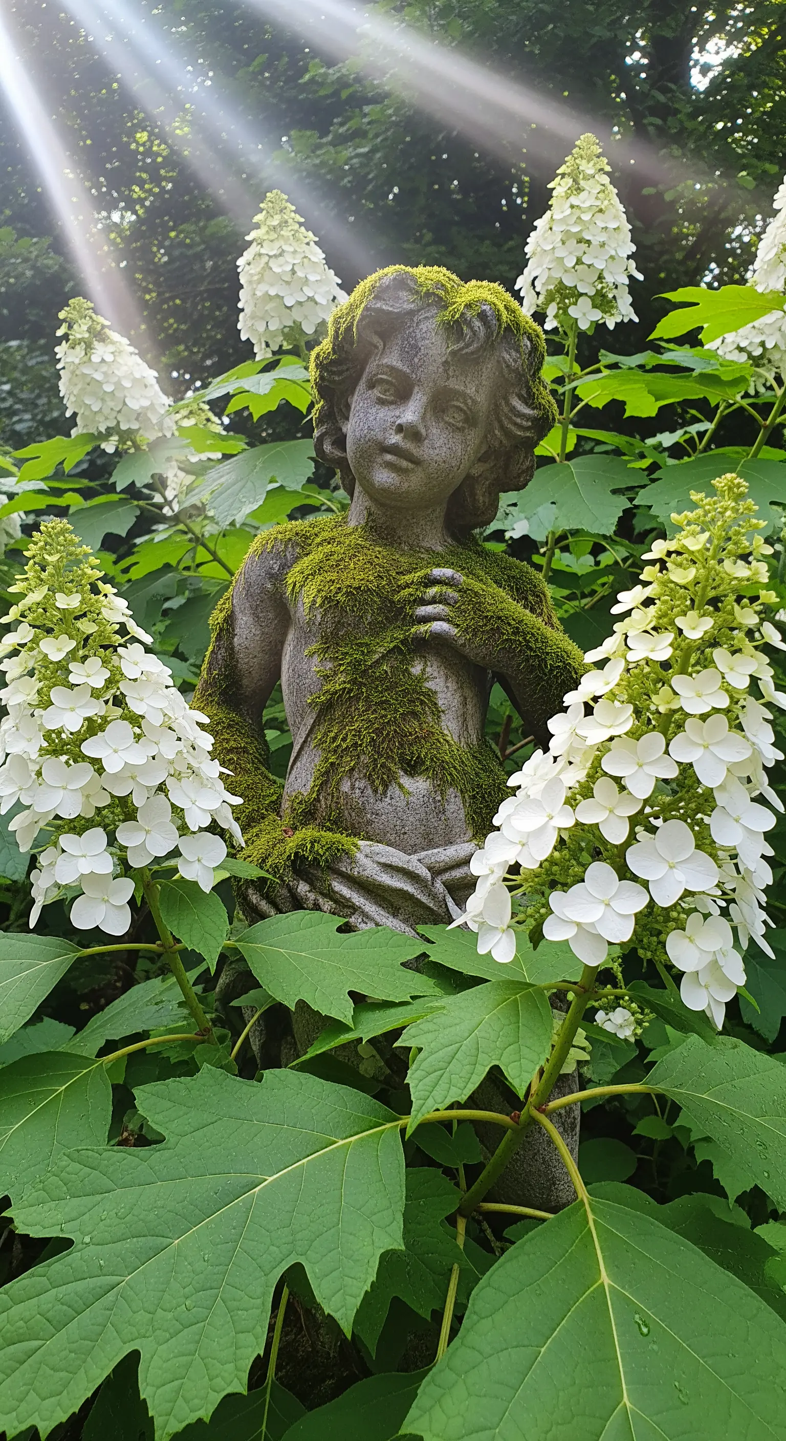 Moosbewachsene Steinstatue zwischen weißen Hortensien