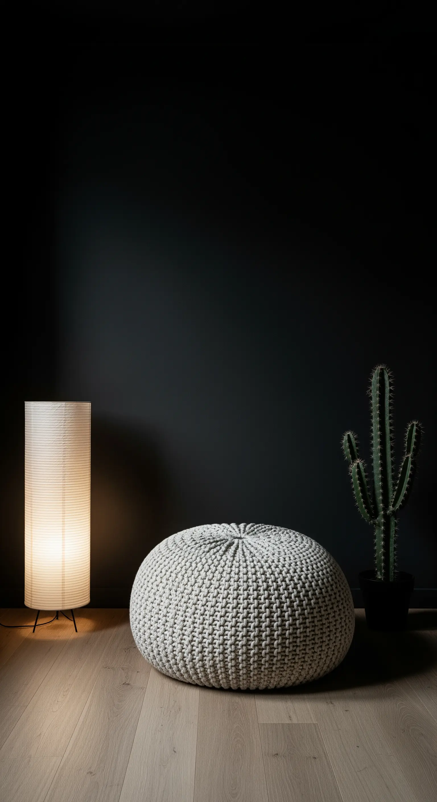 Minimalistischer dunkler Raum mit Papierlampe und Kaktus