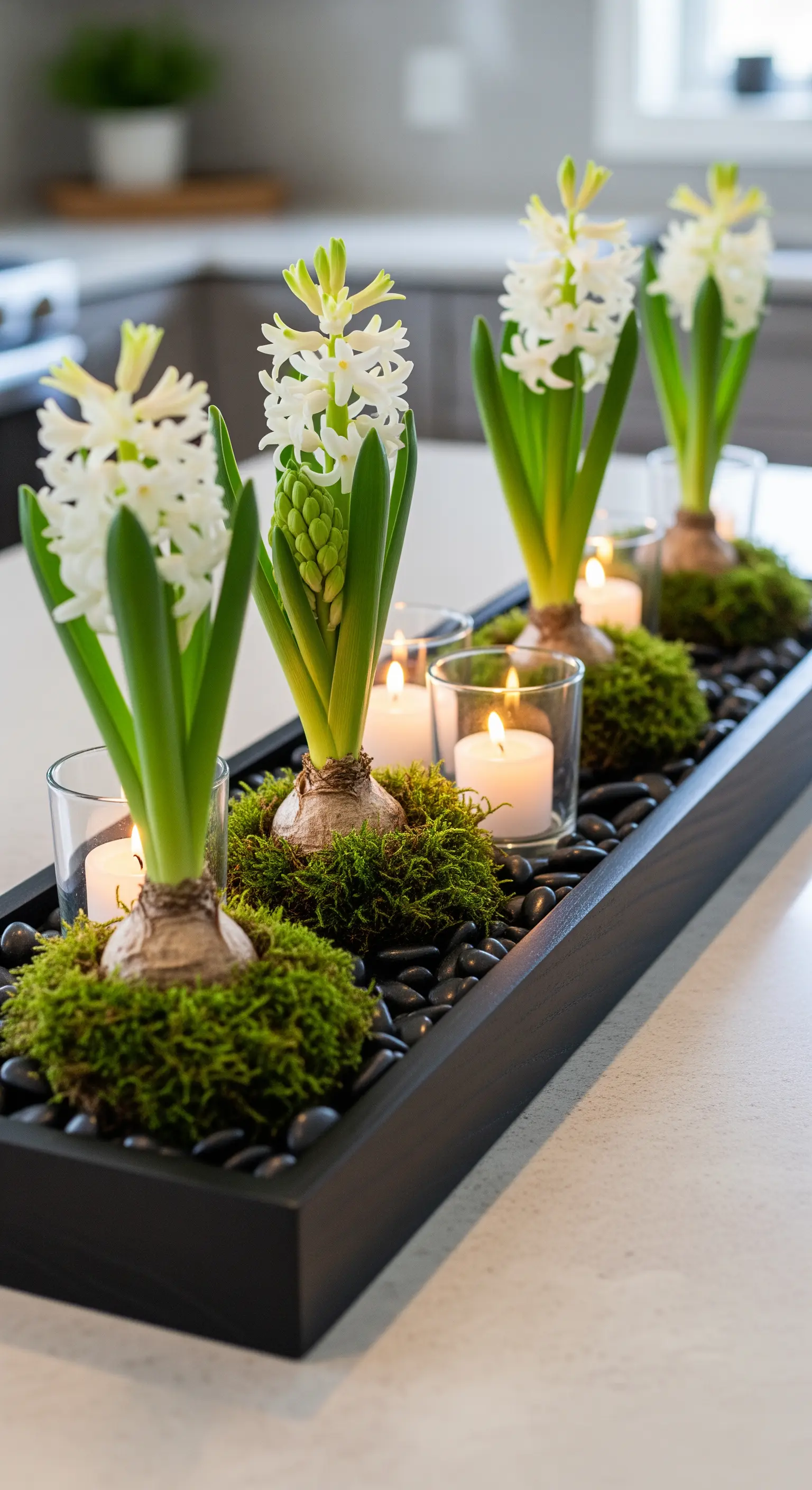 Längliches schwarzes Tablett mit weißen Hyazinthen, Moos und kleinen Kerzen