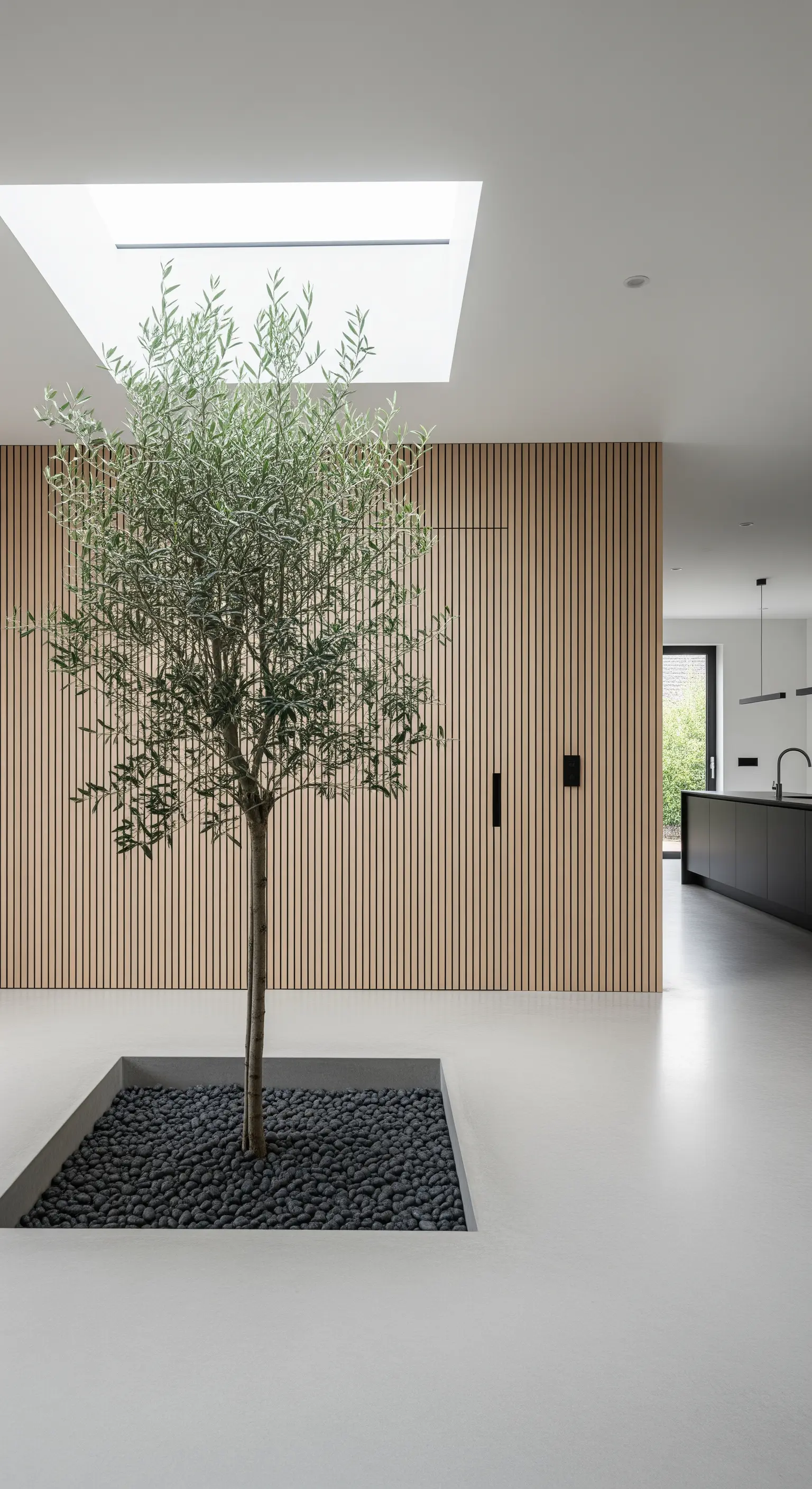 Innenraum mit einem Olivenbaum in einem Betonkasten vor einer Holzlamellenwand.