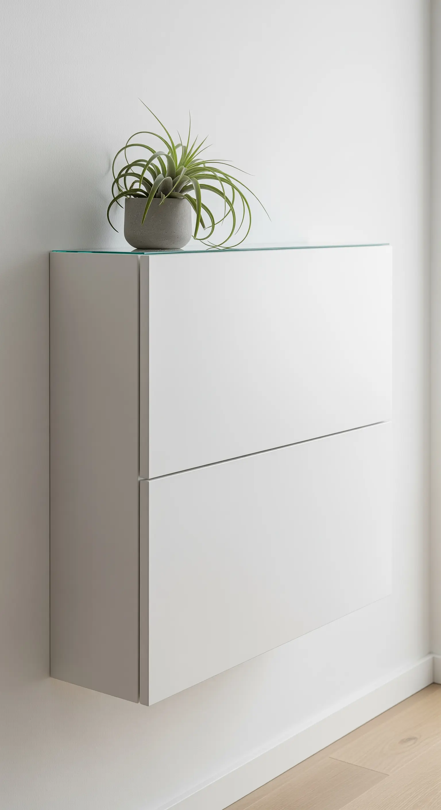 Weißer, wandmontierter Schuhkipper mit einer Pflanze darauf