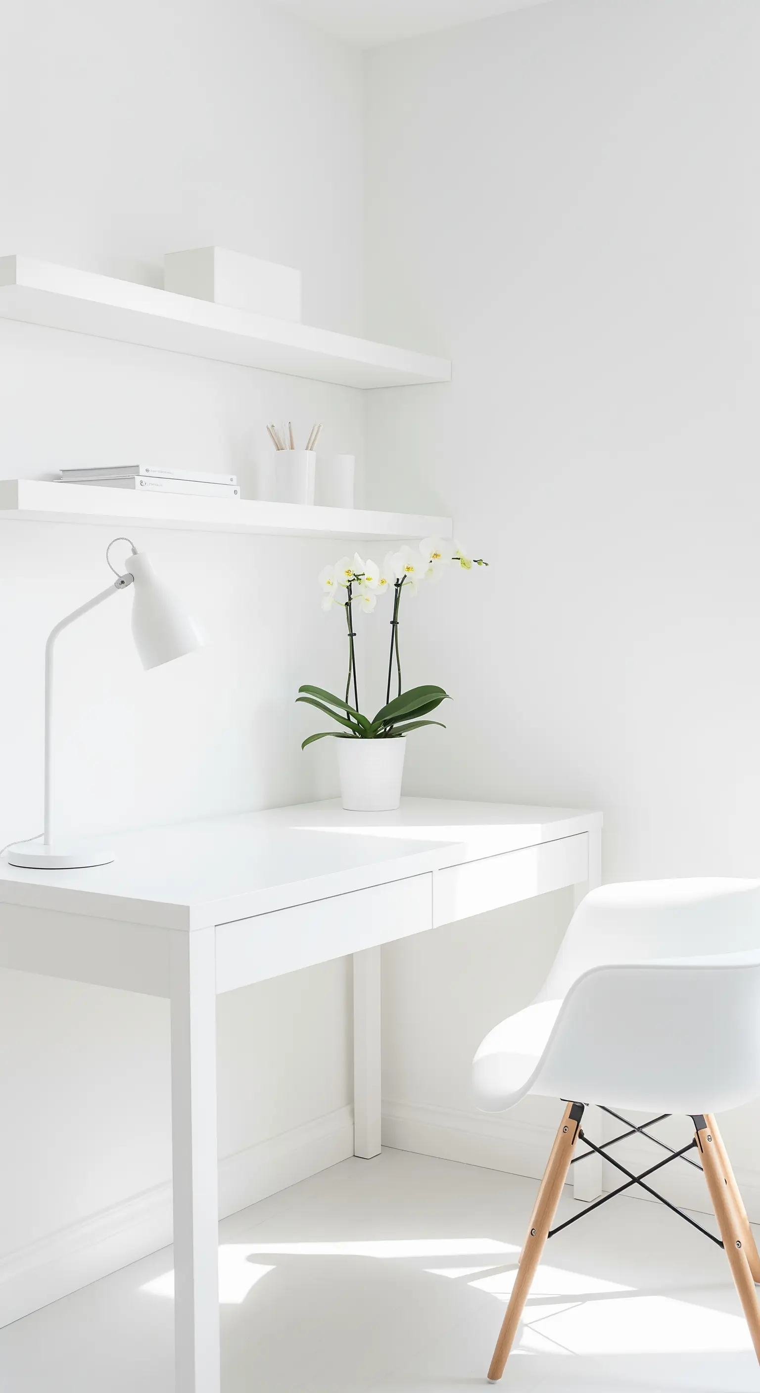 Reinweißes Homeoffice mit weißem Schreibtisch, Regalen und einer weißen Orchidee.