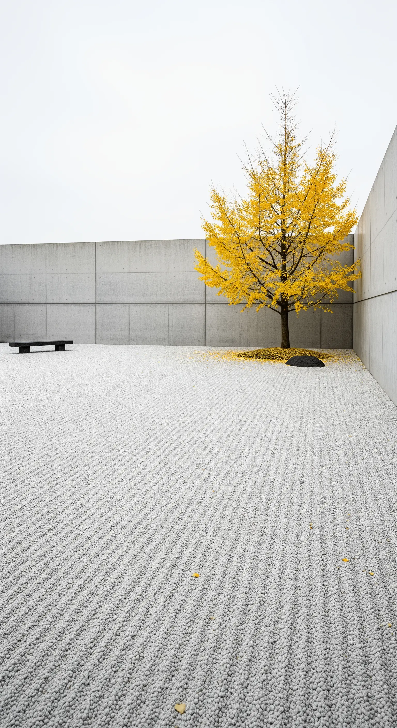 Minimalistischer Hof mit geharktem Kies, einer Betonwand und einem einzelnen gelben Ginkgo-Baum