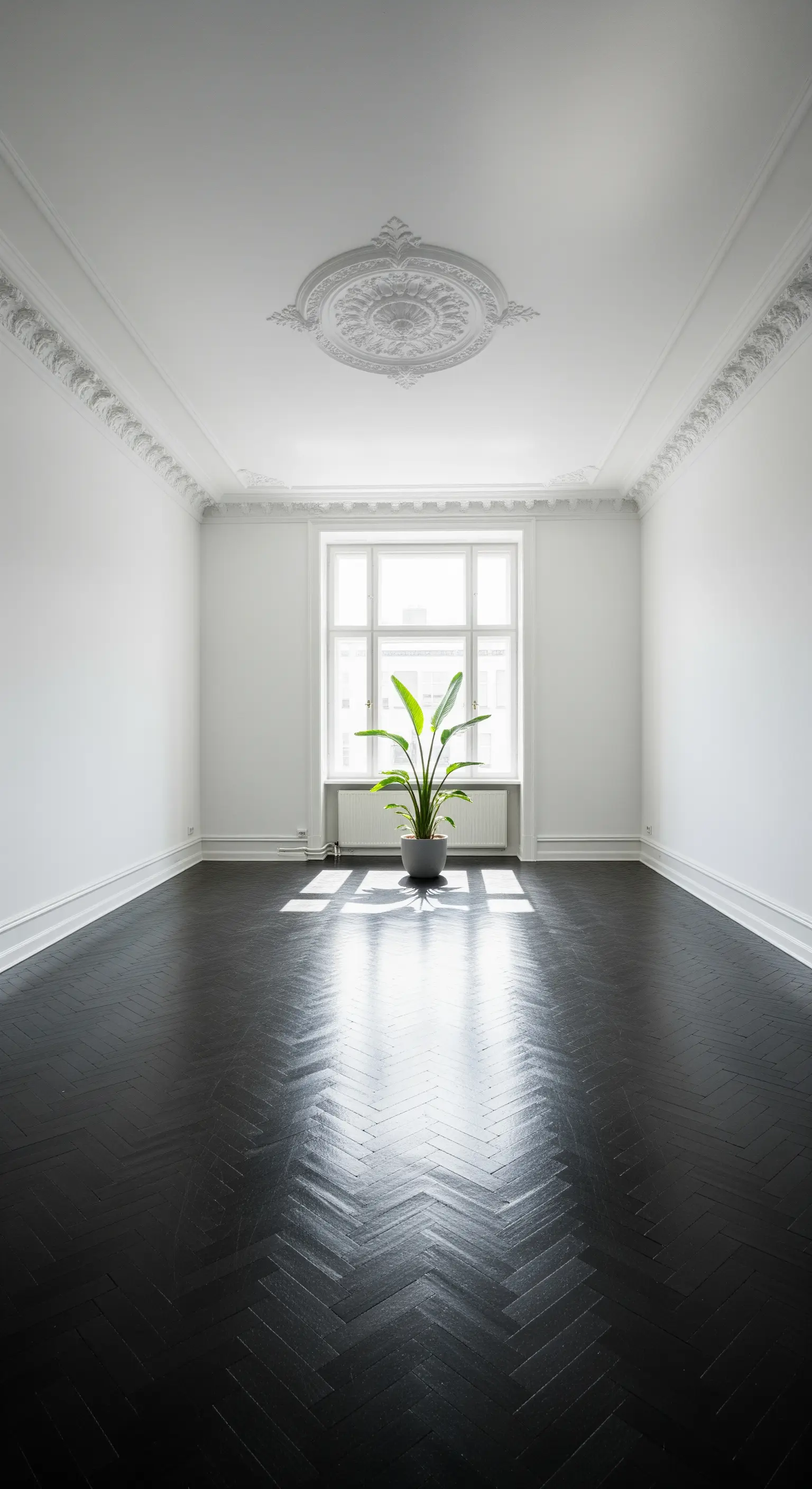 Ein leerer Altbauraum mit dunklem Fischgrätparkett, Stuck und einer einzigen Pflanze.