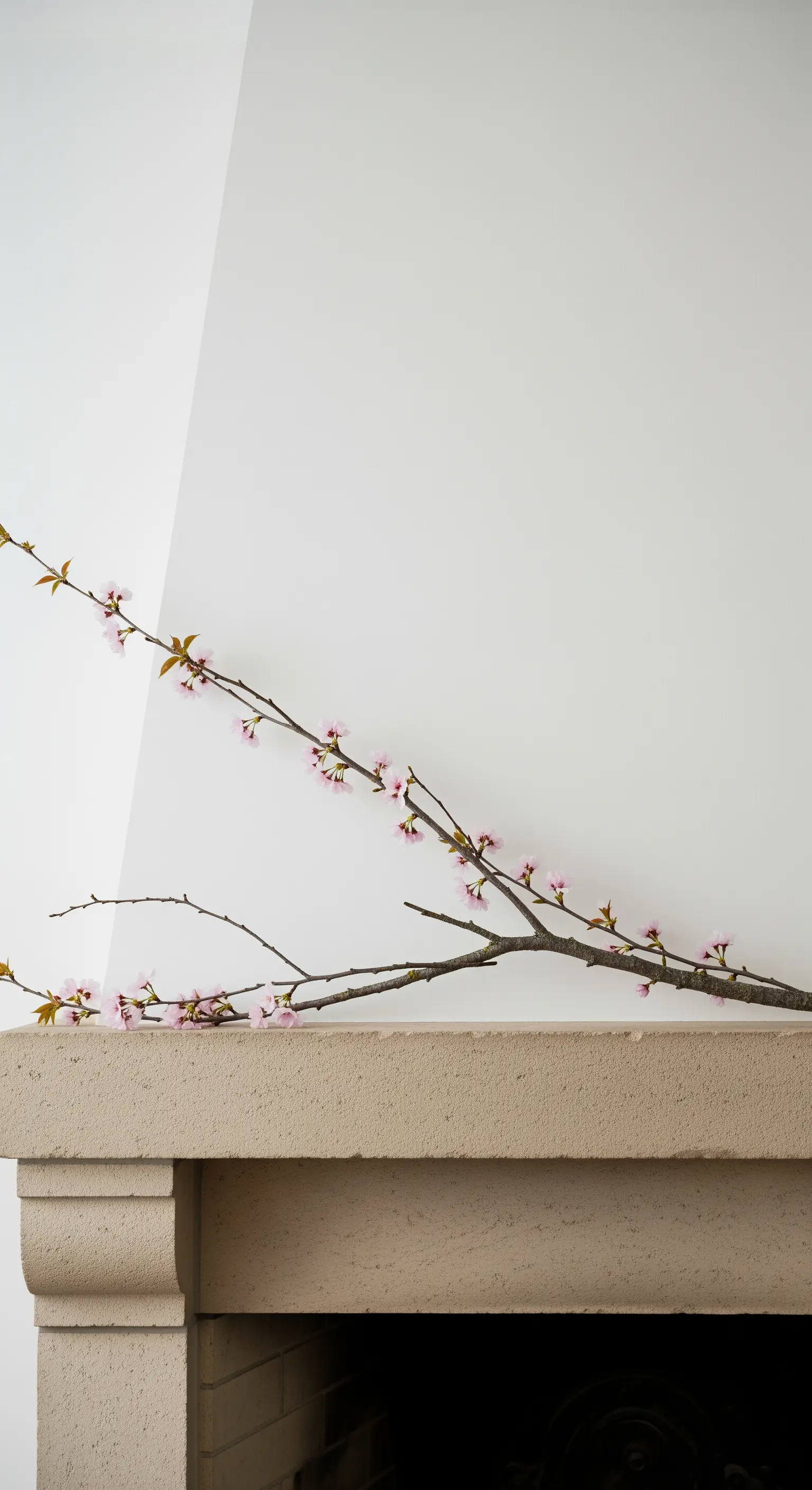 Ein einzelner Kirschblütenzweig liegt auf einem minimalistischen Steinkamin.