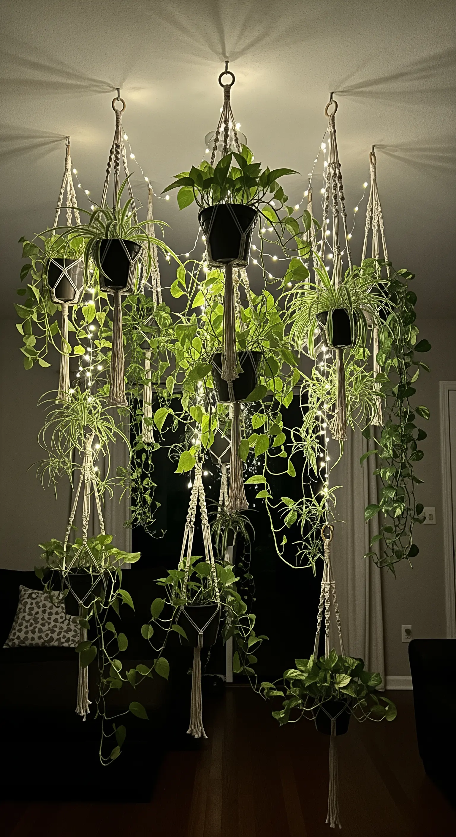 Mehrere Hängepflanzen in Makramee-Ampeln werden von feinen Lichterketten beleuchtet und schaffen einen schwebenden Garten.