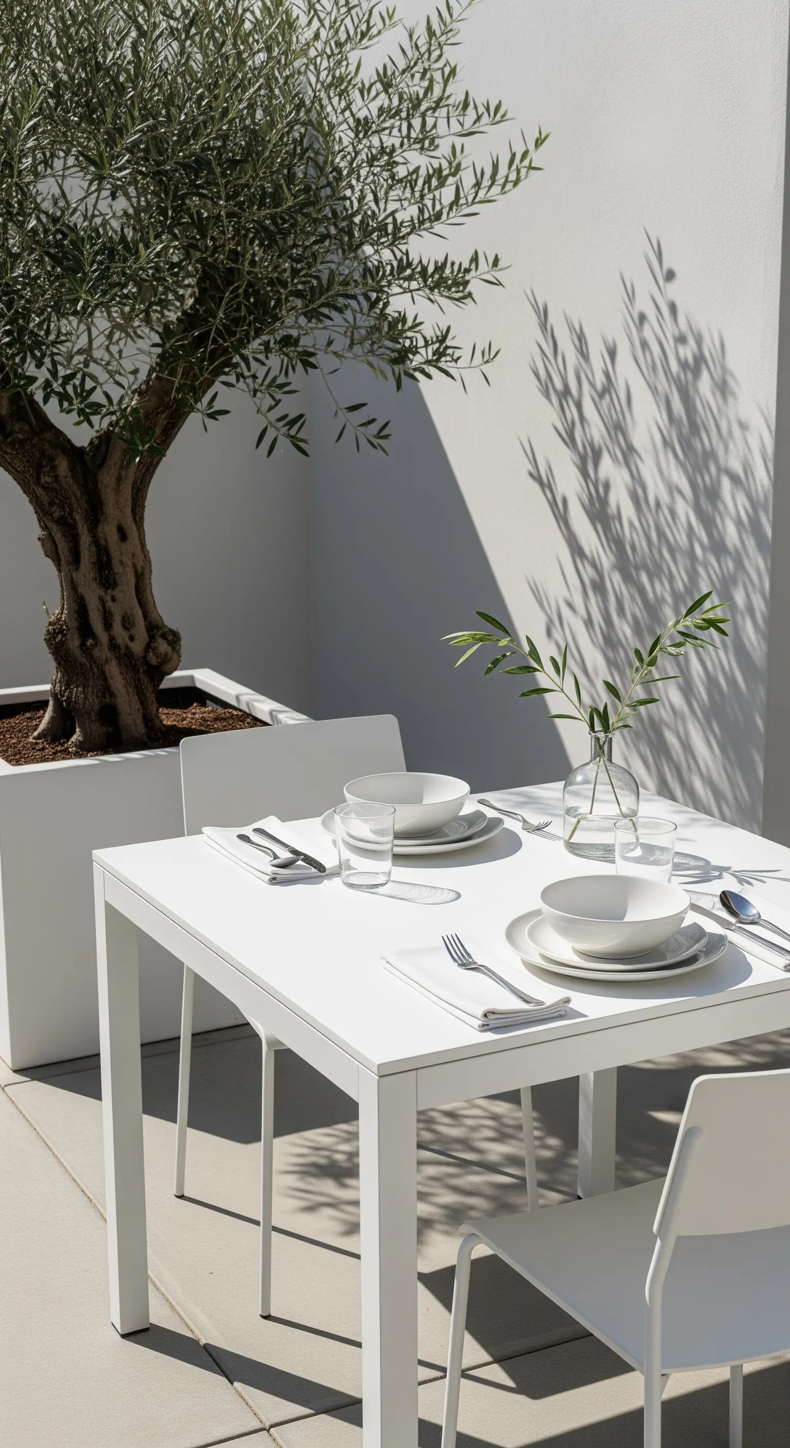 Weißer Esstisch mit Olivenbaum in großem Topf
