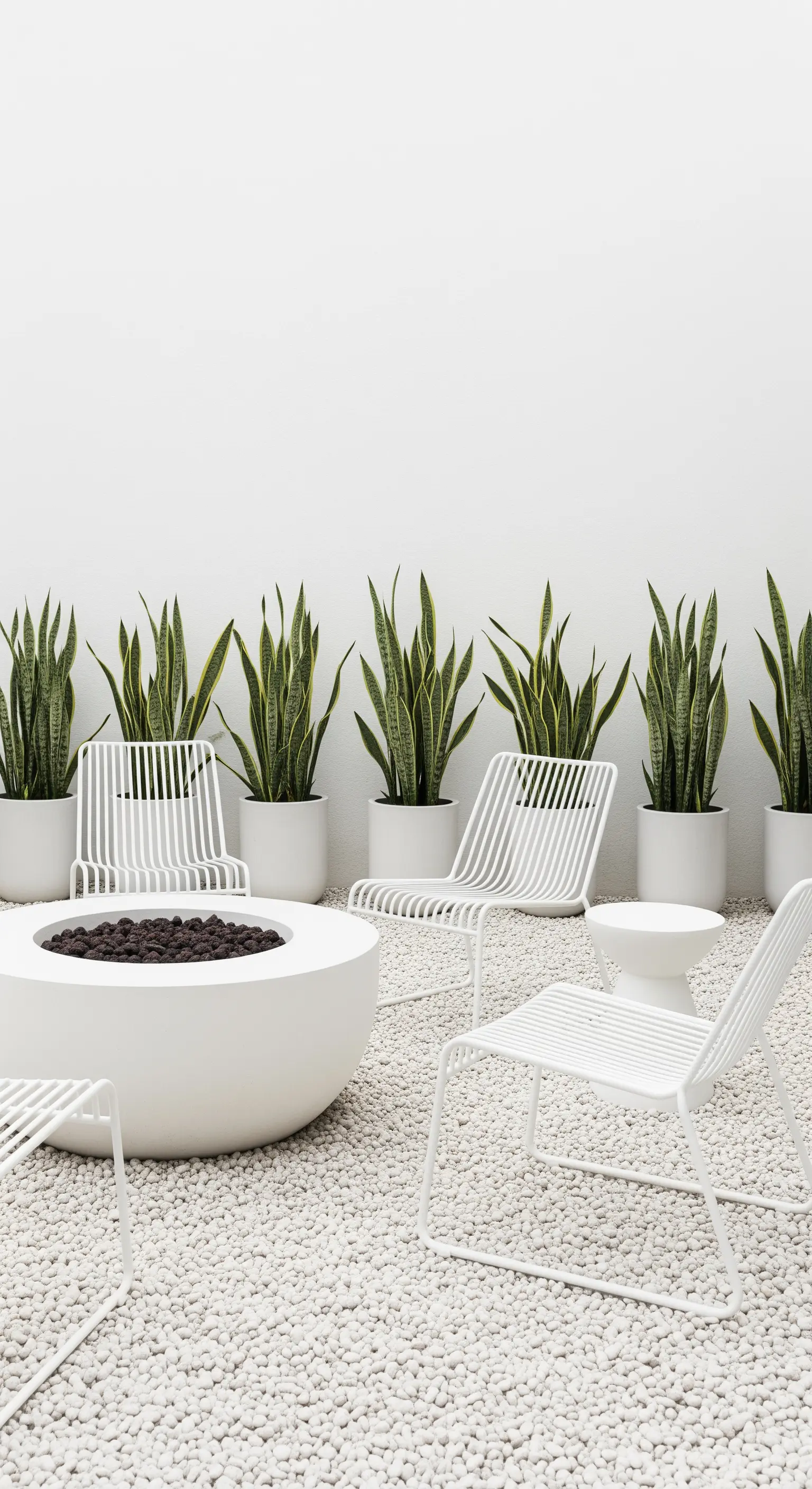 Weißer Patio mit Drahtstühlen, Feuerstelle und Schlangenpflanzen