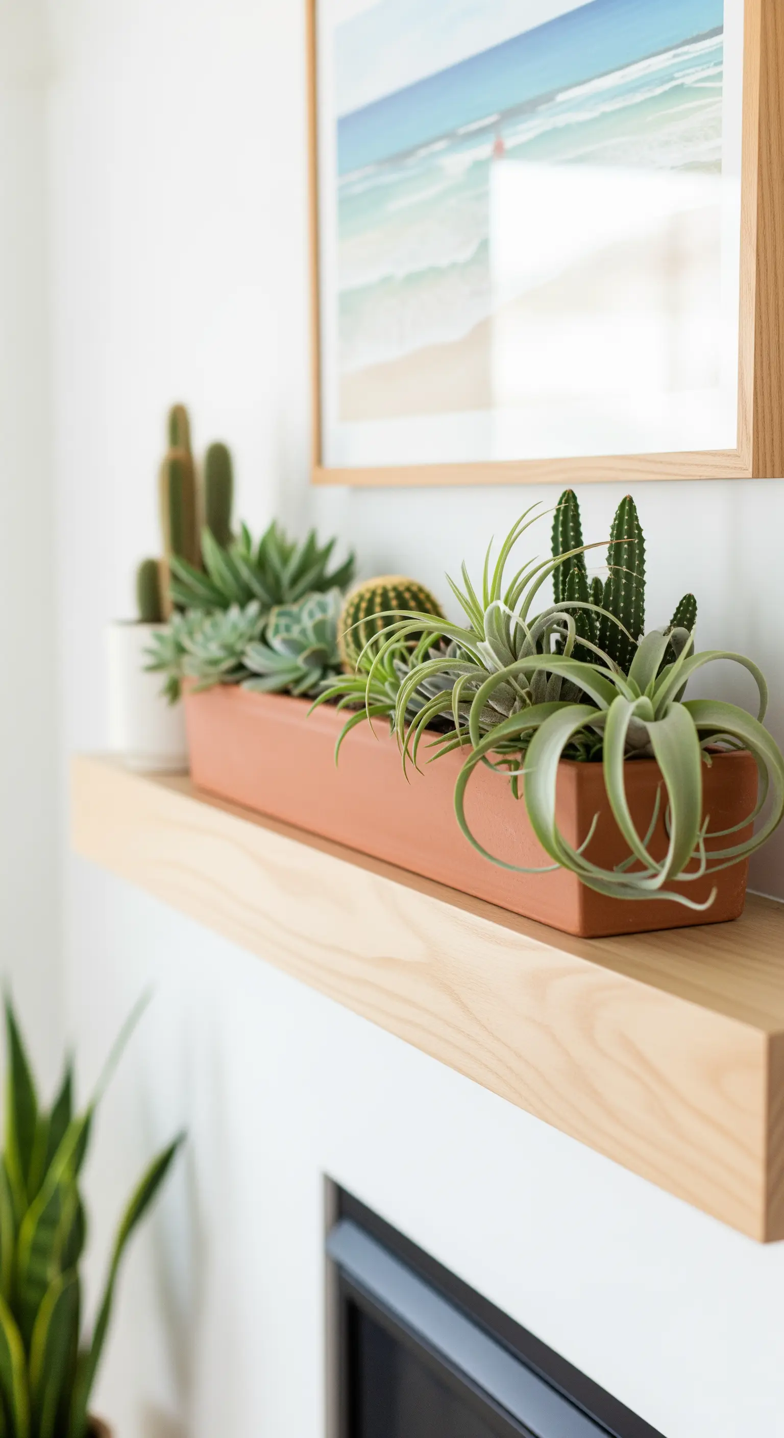 Langer Terrakotta-Pflanzkübel mit Sukkulenten und Kakteen auf einem Holzsims.