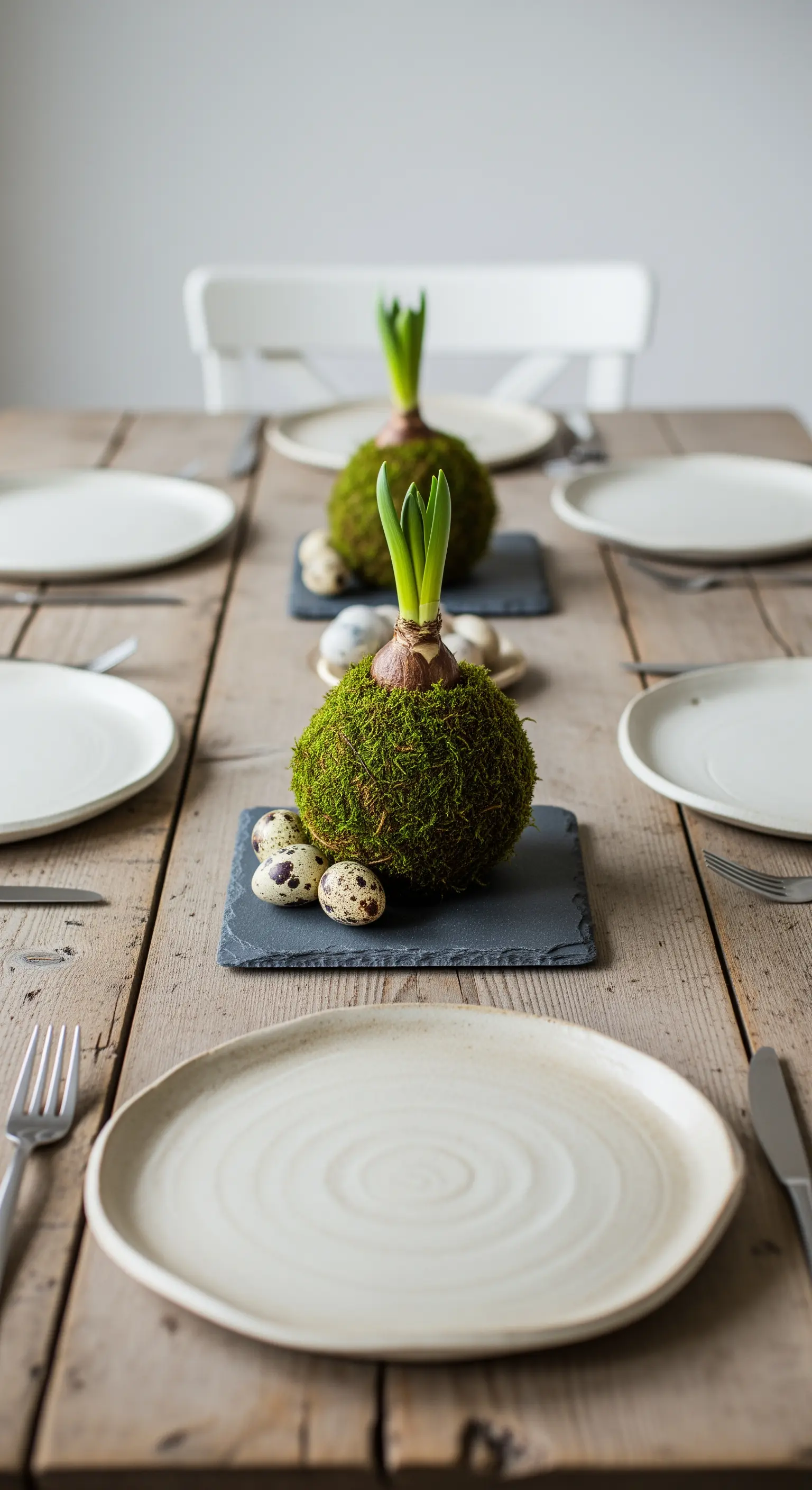 Hyazinthenzwiebeln in Moos auf Schieferplatten mit Wachteleiern auf einem rustikalen Holztisch