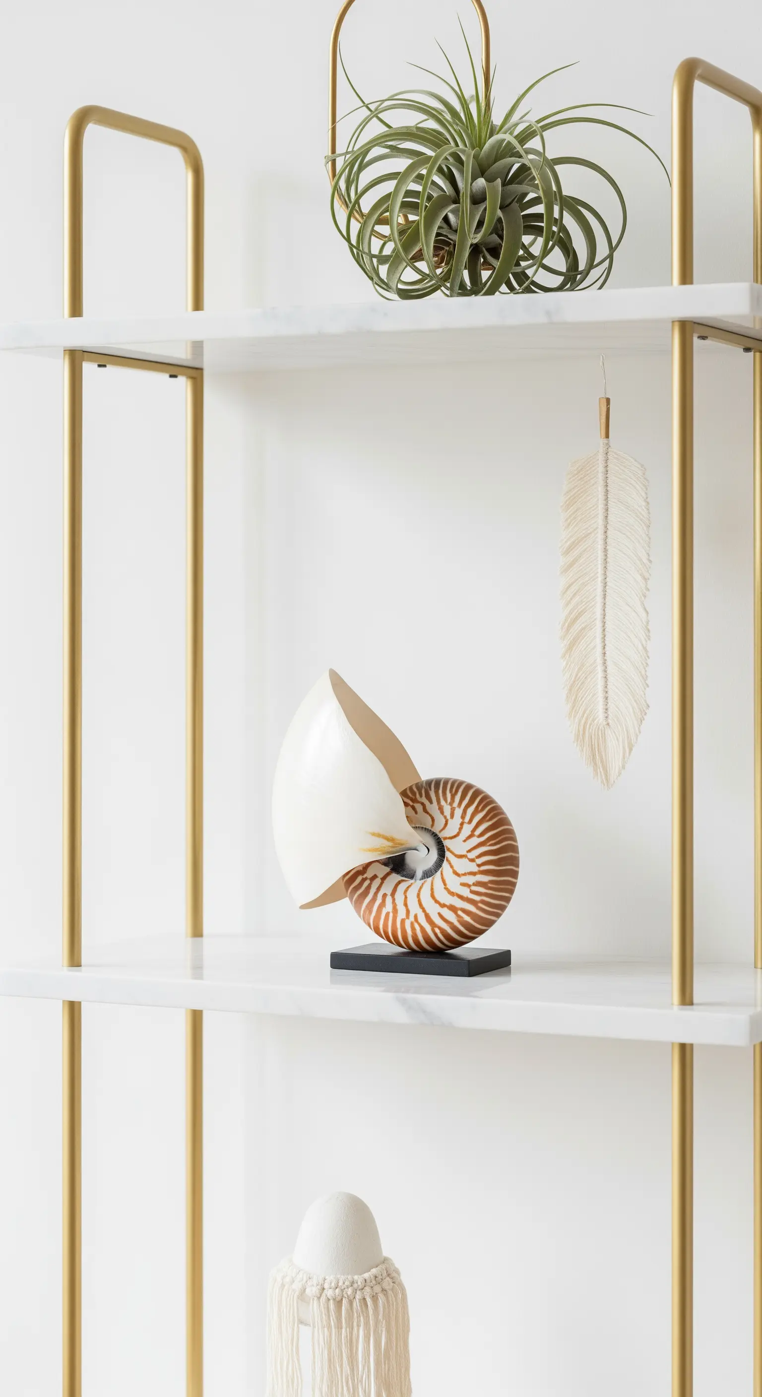 Weiß-goldenes Regal mit einer Nautilusmuschel, Luftpflanze und einem Makramee-Blatt.