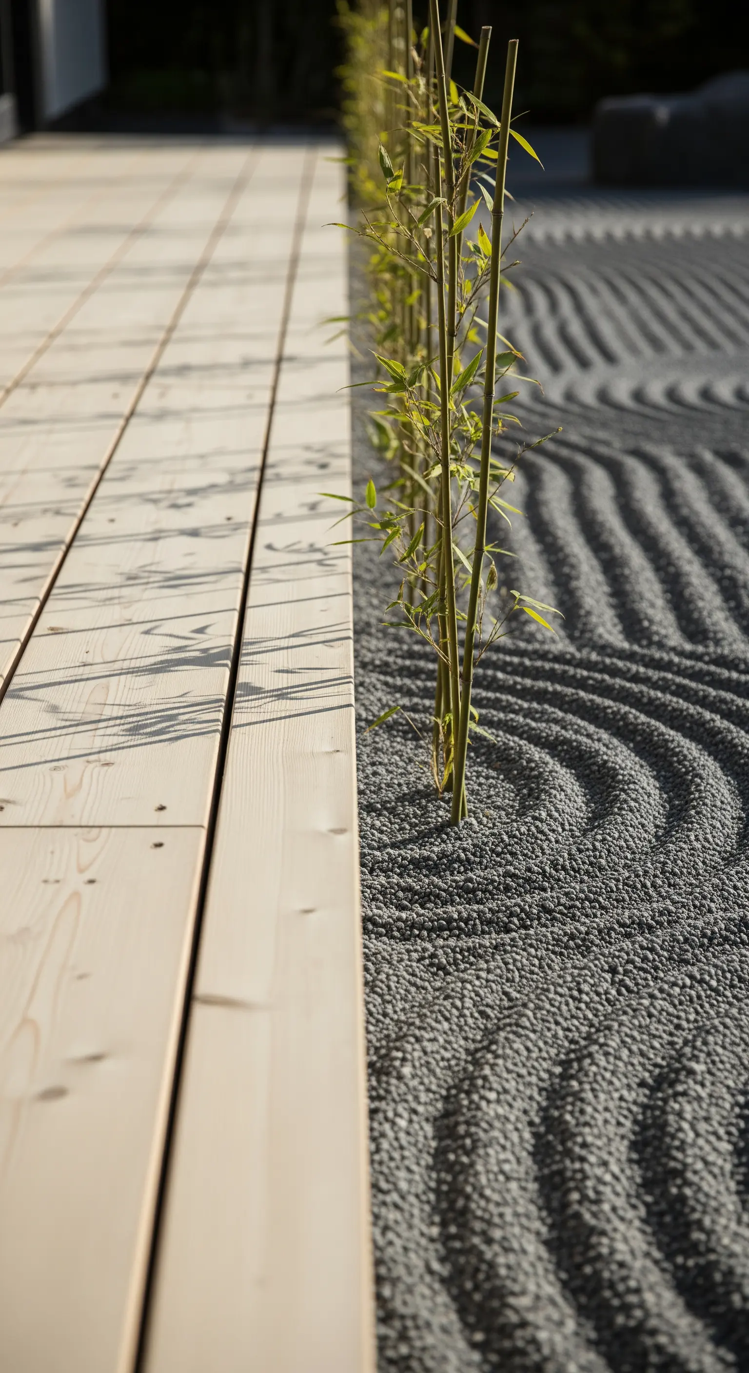 Nahaufnahme von gerakeltem dunklem Kies, Holzdeck und jungen Bambuspflanzen