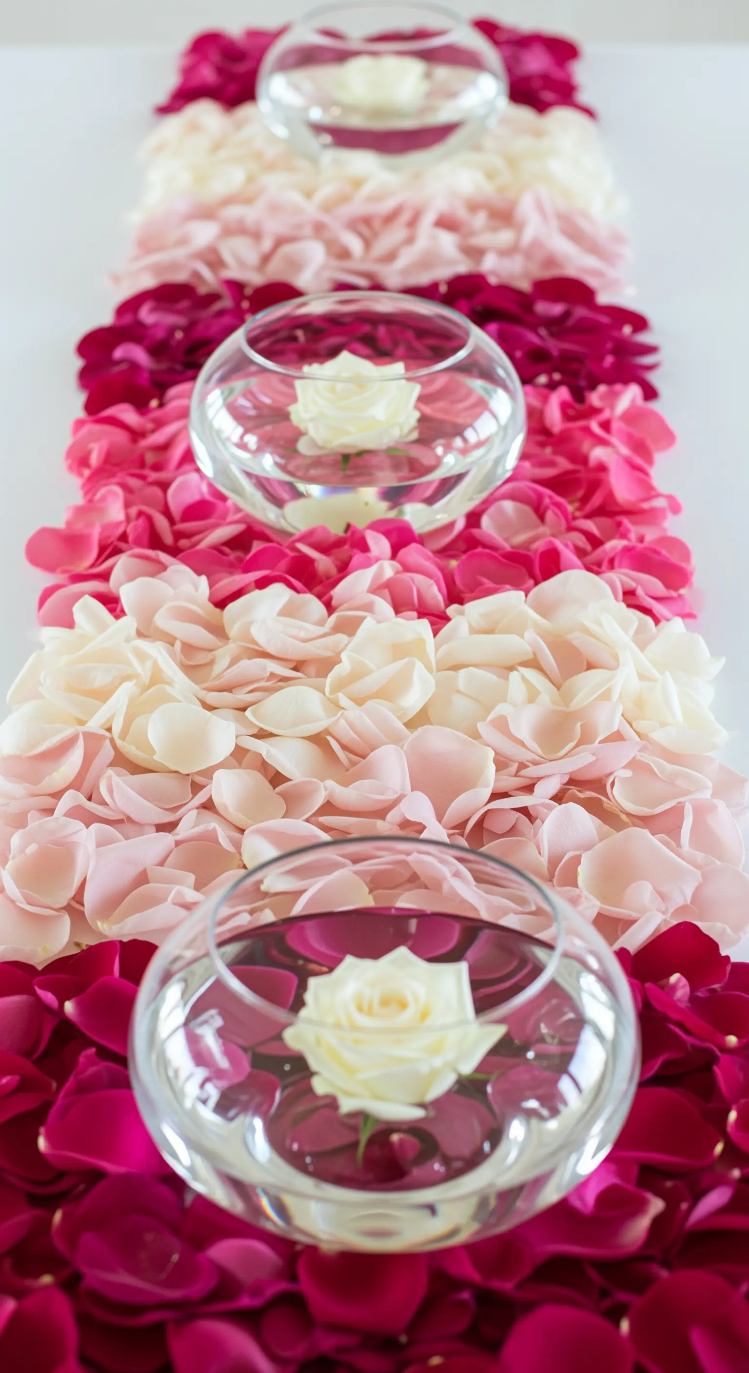 Tischläufer aus Rosenblättern mit Farbverlauf von Pink zu Weiß.