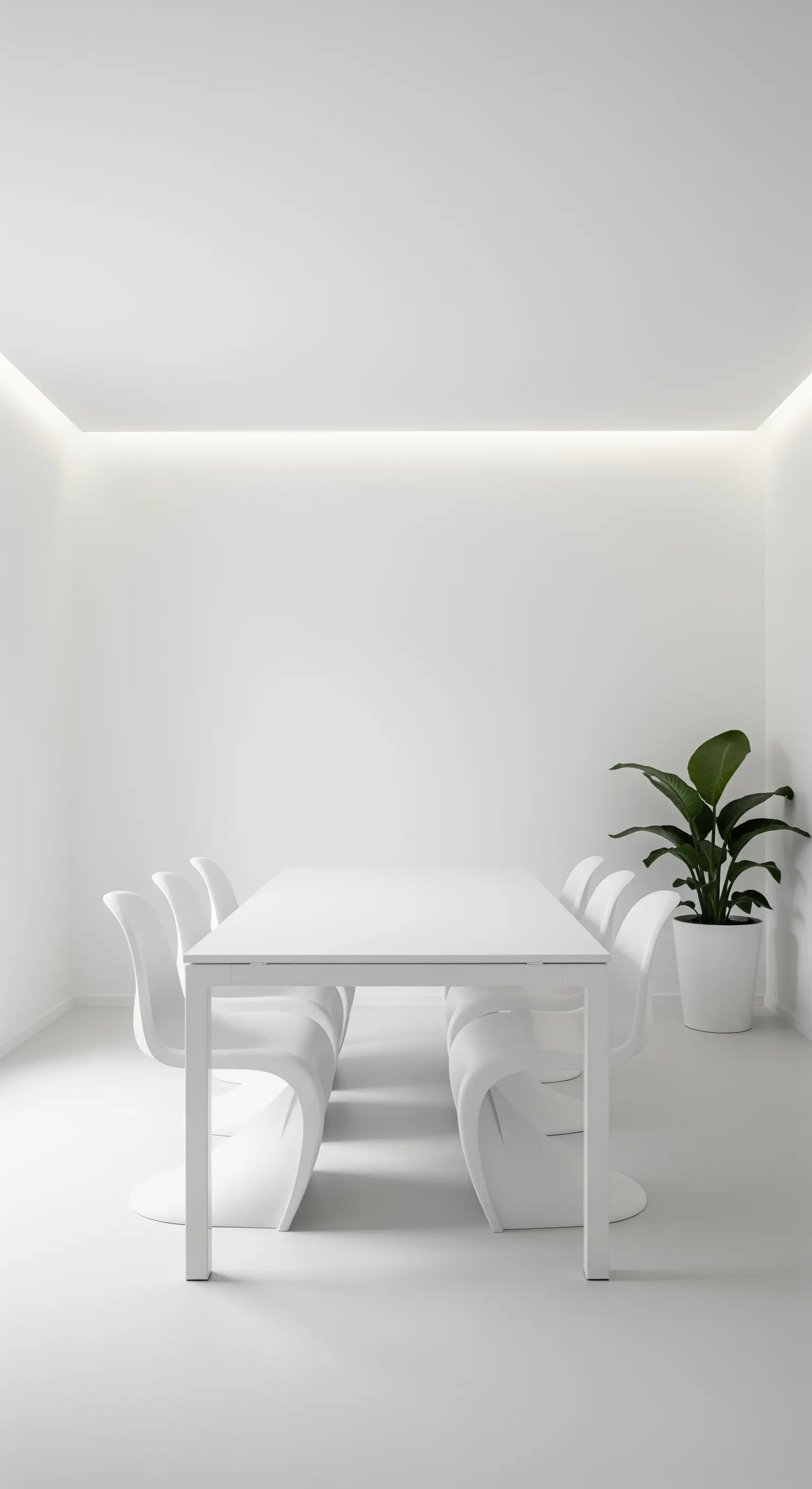 Ein komplett weißes Esszimmer mit Tisch, geschwungenen Stühlen und einer großen grünen Pflanze in der Ecke.