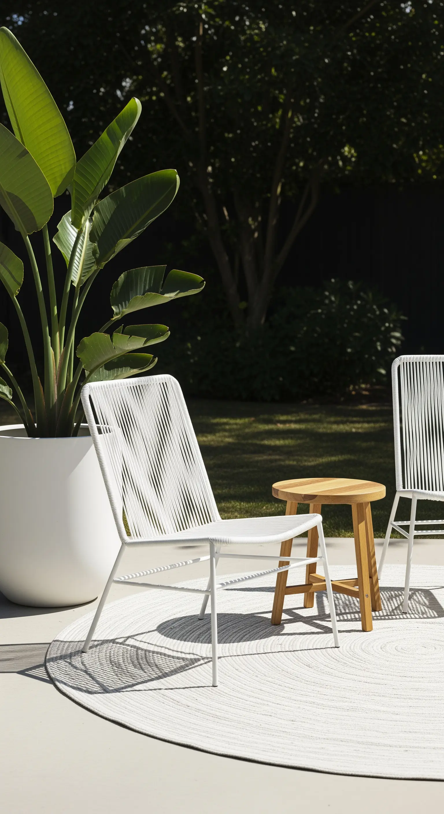 Geflochtener Stuhl, Holztisch, tropische Pflanze auf rundem Teppich