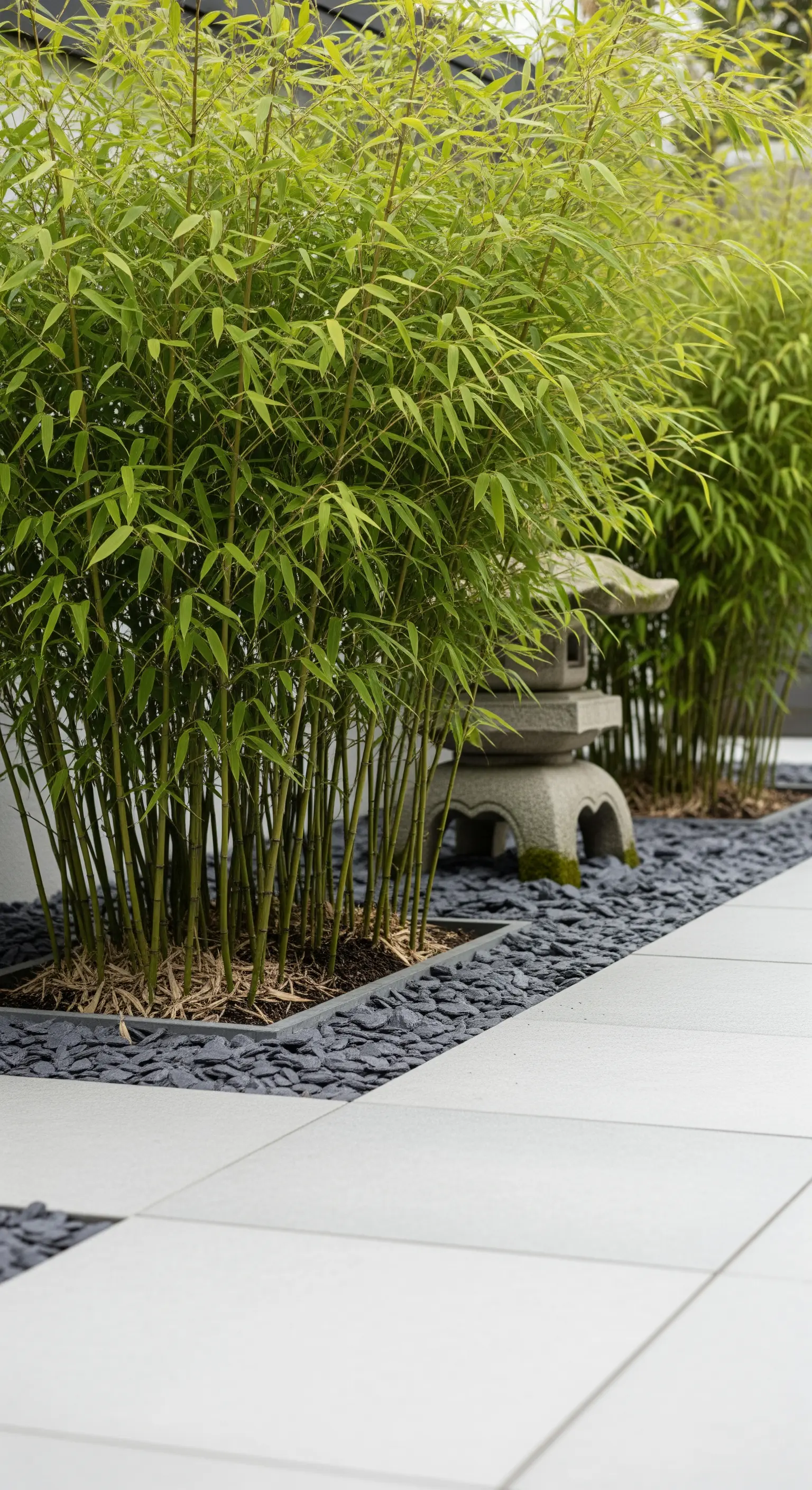 Japanische Steinlaterne zwischen Bambus und dunklem Kies