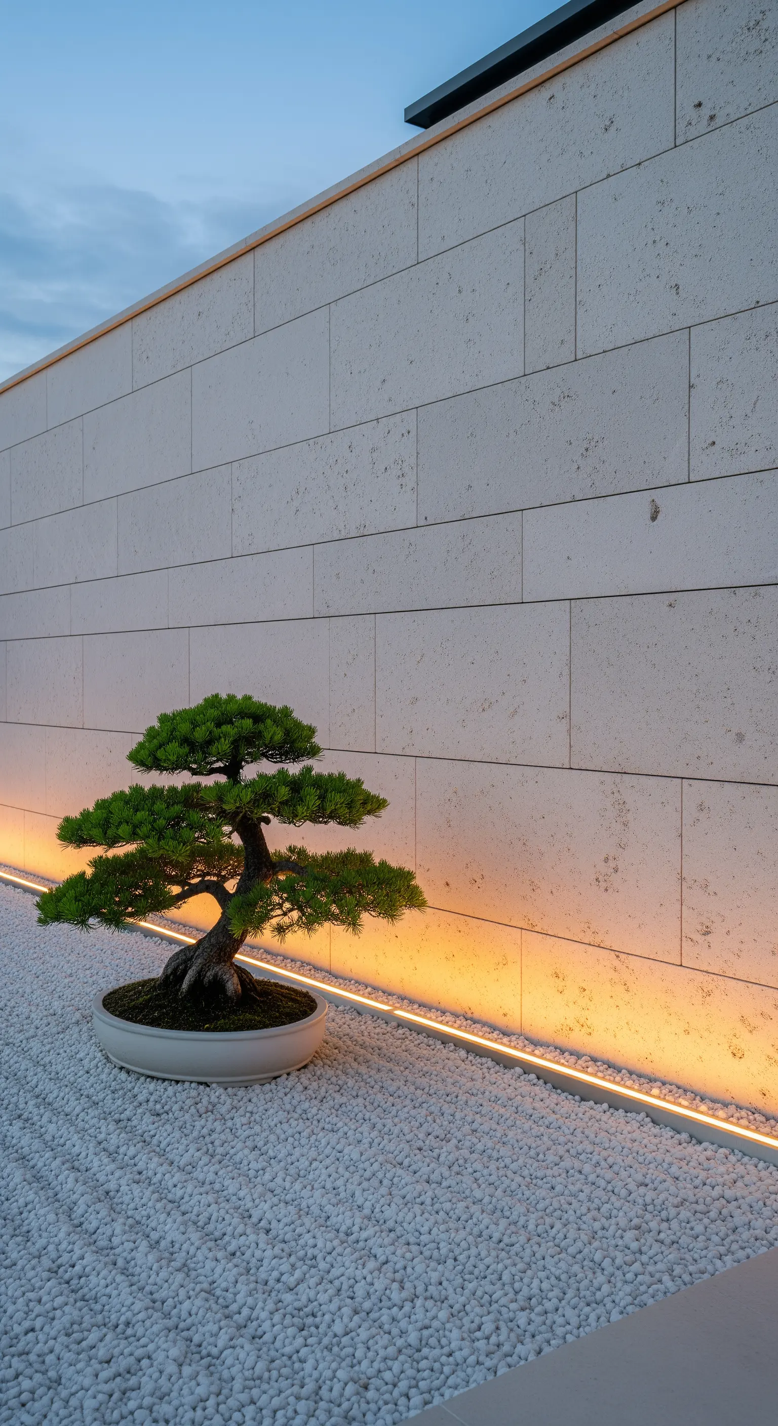 Bonsai vor Steinwand mit warmer LED-Bodenbeleuchtung und weißem Kies