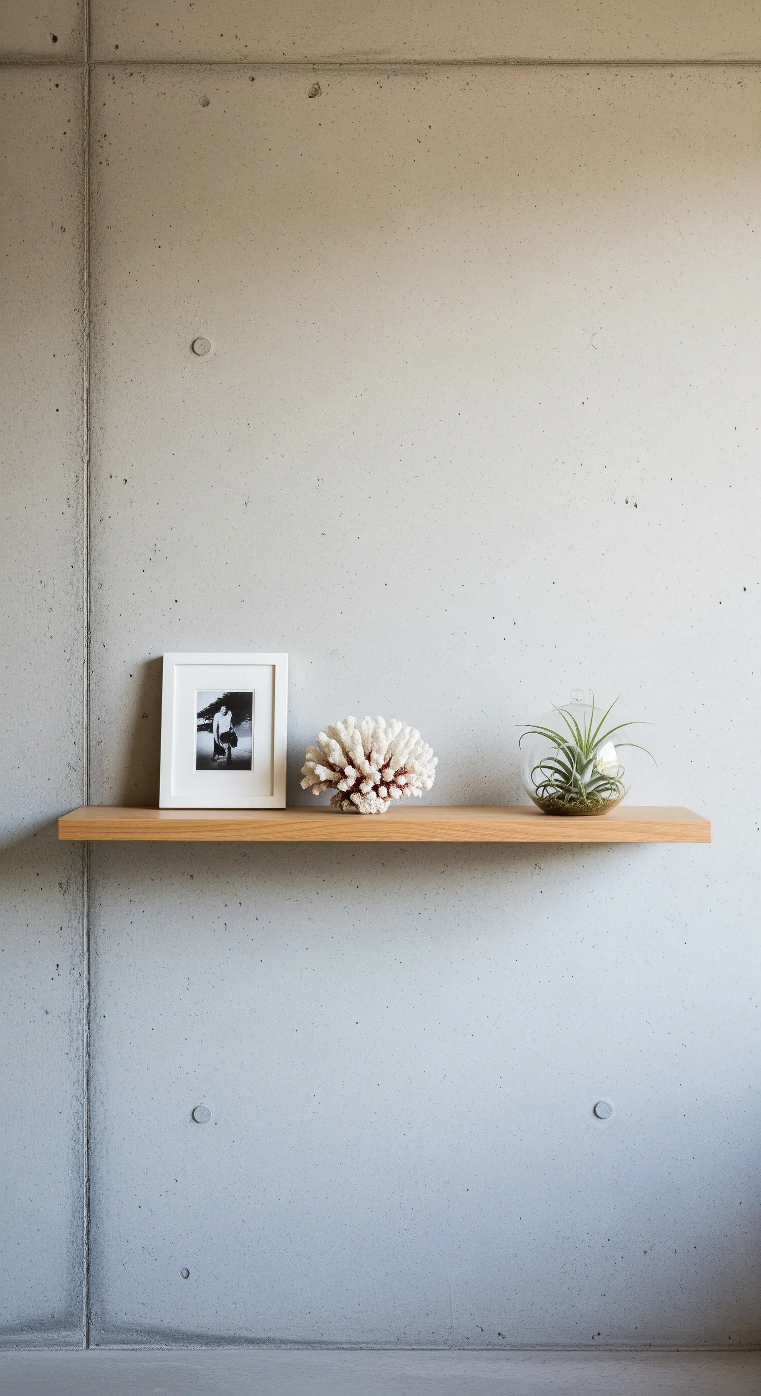 Ein Holzregal an einer Betonwand mit drei kuratierten Objekten: Bild, Koralle, Pflanze.