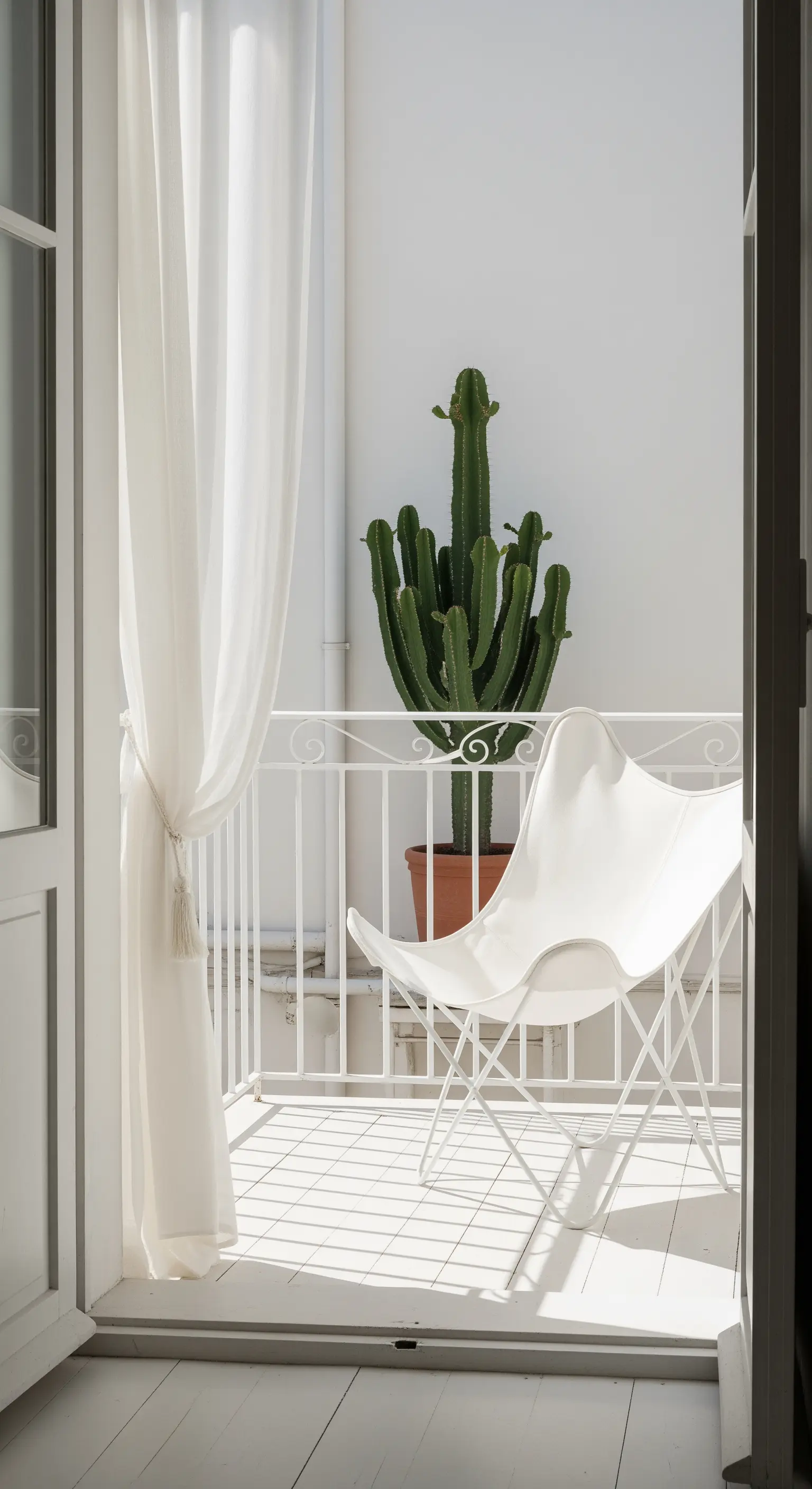 Weißer Butterfly-Chair, großer Kaktus und weiße Vorhänge
